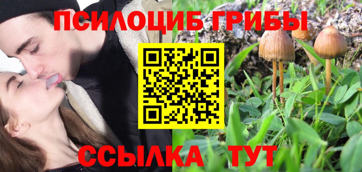 Галлюциногенные грибы ЛСД Людиново
