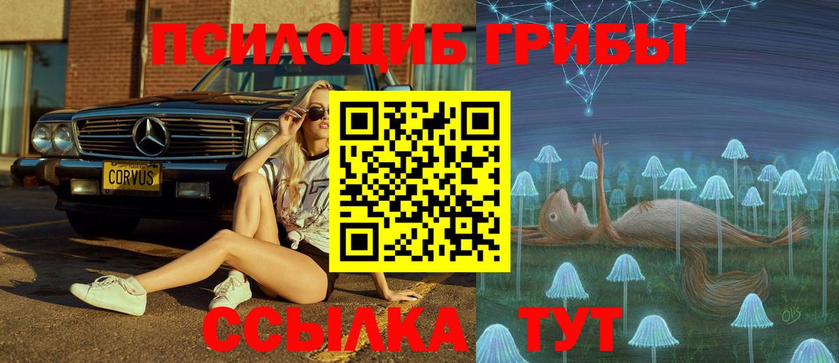 Людиново  Галлюциногенные грибы Psilocybe  Вход с VPN 